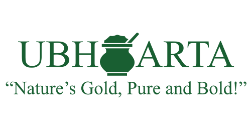 logohbb-e1744806073850.png